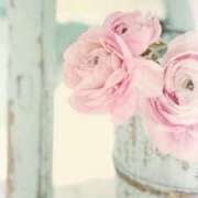 ヒメ日記 2025/05/19 20:19 投稿 ちなつ 激安ピーチ