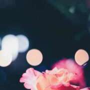 ヒメ日記 2025/05/22 14:19 投稿 ちなつ 激安ピーチ