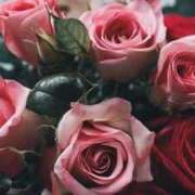 ヒメ日記 2025/05/24 18:59 投稿 ちなつ 激安ピーチ