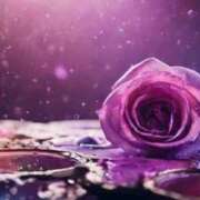 ヒメ日記 2025/05/25 16:39 投稿 ちなつ 激安ピーチ