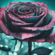 ヒメ日記 2025/05/25 18:59 投稿 ちなつ 激安ピーチ