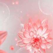 ヒメ日記 2025/05/30 18:29 投稿 ちなつ 激安ピーチ