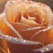 ヒメ日記 2025/05/31 19:41 投稿 ちなつ 激安ピーチ