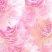 ヒメ日記 2025/06/10 17:09 投稿 ちなつ 激安ピーチ