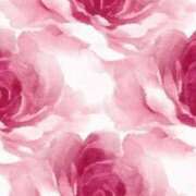 ヒメ日記 2025/06/10 19:39 投稿 ちなつ 激安ピーチ