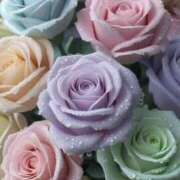 ヒメ日記 2025/06/14 20:46 投稿 ちなつ 激安ピーチ