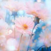 ヒメ日記 2025/06/17 14:59 投稿 ちなつ 激安ピーチ