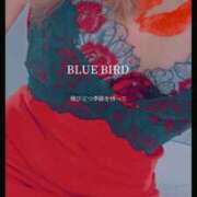 ヒメ日記 2025/06/24 15:29 投稿 ちなつ 激安ピーチ