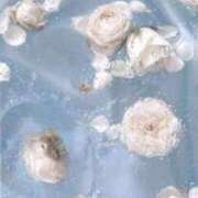 ヒメ日記 2025/06/28 20:32 投稿 ちなつ 激安ピーチ