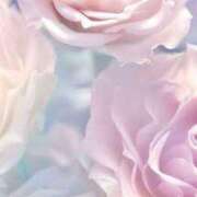 ヒメ日記 2025/06/29 13:19 投稿 ちなつ 激安ピーチ