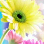 ヒメ日記 2025/07/01 22:29 投稿 ちなつ 激安ピーチ