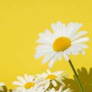 ヒメ日記 2025/07/03 14:19 投稿 ちなつ 激安ピーチ