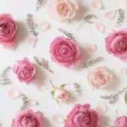 ヒメ日記 2025/07/03 16:29 投稿 ちなつ 激安ピーチ