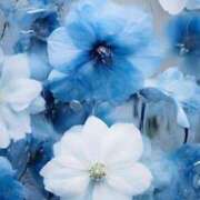 ヒメ日記 2025/07/06 17:49 投稿 ちなつ 激安ピーチ