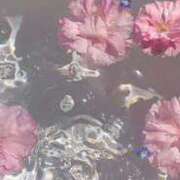 ヒメ日記 2025/07/12 17:09 投稿 ちなつ 激安ピーチ