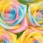 ヒメ日記 2025/07/14 16:19 投稿 ちなつ 激安ピーチ