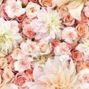 ヒメ日記 2025/07/16 16:20 投稿 ちなつ 激安ピーチ