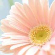 ヒメ日記 2025/07/17 00:19 投稿 ちなつ 激安ピーチ