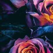 ヒメ日記 2025/07/19 14:22 投稿 ちなつ 激安ピーチ