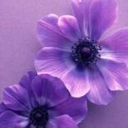 ヒメ日記 2025/07/23 14:19 投稿 ちなつ 激安ピーチ