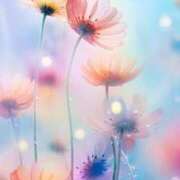 ヒメ日記 2025/07/23 16:29 投稿 ちなつ 激安ピーチ