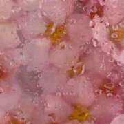 ヒメ日記 2025/07/25 13:09 投稿 ちなつ 激安ピーチ