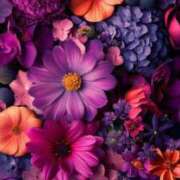 ヒメ日記 2025/07/25 15:19 投稿 ちなつ 激安ピーチ