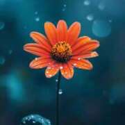 ヒメ日記 2025/07/25 17:39 投稿 ちなつ 激安ピーチ