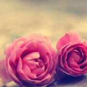 ヒメ日記 2025/07/27 13:09 投稿 ちなつ 激安ピーチ