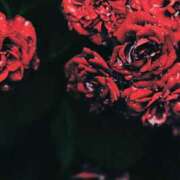 ヒメ日記 2025/07/27 15:09 投稿 ちなつ 激安ピーチ