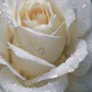 ヒメ日記 2025/07/27 17:59 投稿 ちなつ 激安ピーチ