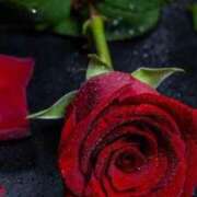 ヒメ日記 2025/07/29 15:39 投稿 ちなつ 激安ピーチ