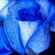 ヒメ日記 2025/07/29 17:49 投稿 ちなつ 激安ピーチ