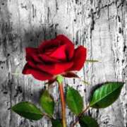 ヒメ日記 2025/07/29 20:00 投稿 ちなつ 激安ピーチ