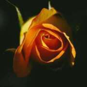 ヒメ日記 2025/07/29 21:59 投稿 ちなつ 激安ピーチ