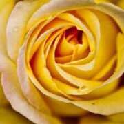 ヒメ日記 2025/08/05 14:19 投稿 ちなつ 激安ピーチ