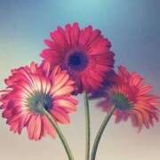 ヒメ日記 2025/08/07 14:27 投稿 ちなつ 激安ピーチ