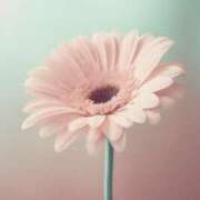 ヒメ日記 2025/08/09 18:49 投稿 ちなつ 激安ピーチ