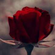 ヒメ日記 2025/08/15 13:49 投稿 ちなつ 激安ピーチ