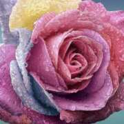 ヒメ日記 2025/08/15 22:29 投稿 ちなつ 激安ピーチ