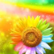 ヒメ日記 2025/08/16 19:19 投稿 ちなつ 激安ピーチ