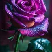 ヒメ日記 2025/08/26 12:29 投稿 ちなつ 激安ピーチ