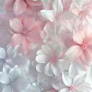 ヒメ日記 2025/08/26 14:09 投稿 ちなつ 激安ピーチ