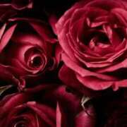 ヒメ日記 2025/08/26 16:09 投稿 ちなつ 激安ピーチ