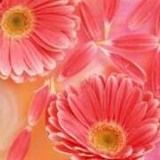 ヒメ日記 2025/08/31 16:49 投稿 ちなつ 激安ピーチ