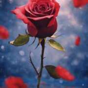 ヒメ日記 2025/08/31 23:06 投稿 ちなつ 激安ピーチ