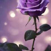 ヒメ日記 2025/09/02 14:10 投稿 ちなつ 激安ピーチ