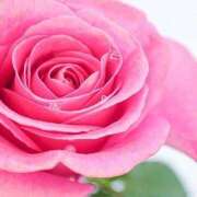 ヒメ日記 2025/09/04 10:59 投稿 ちなつ 激安ピーチ