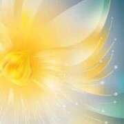 ヒメ日記 2025/09/04 13:09 投稿 ちなつ 激安ピーチ