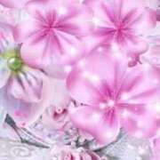 ヒメ日記 2025/09/04 16:29 投稿 ちなつ 激安ピーチ